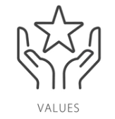 values icon